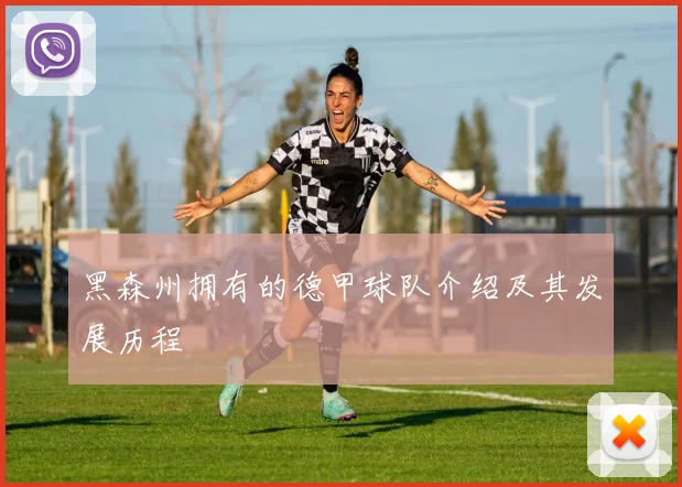黑森州拥有的德甲球队介绍及其发展历程